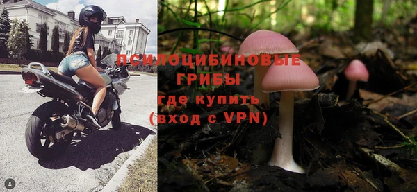 мет Богданович