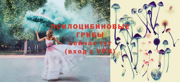 МДМА Богородицк