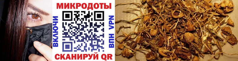 Галлюциногенные грибы Cubensis где продают наркотики Дюртюли